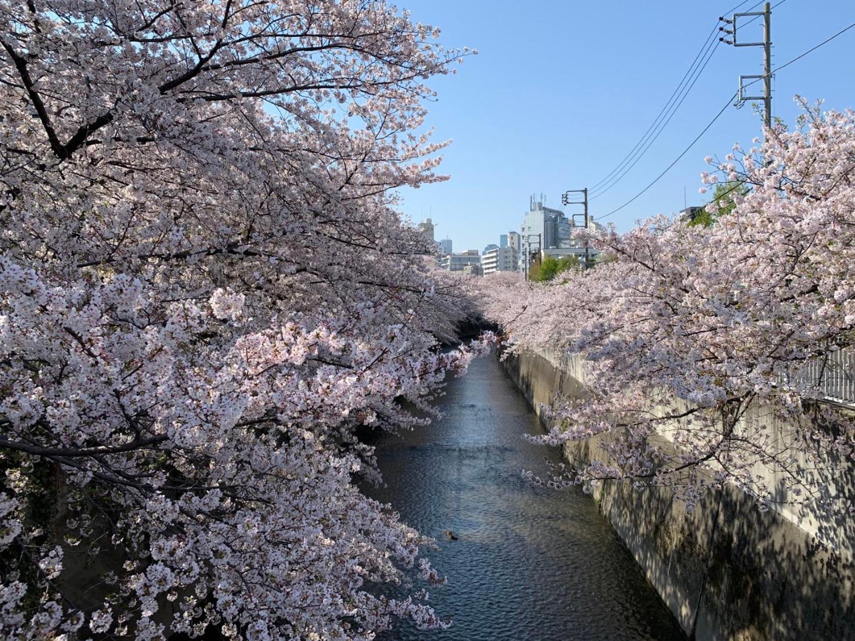 Rosenheim Tokyo Shinjuku — Fotos 1